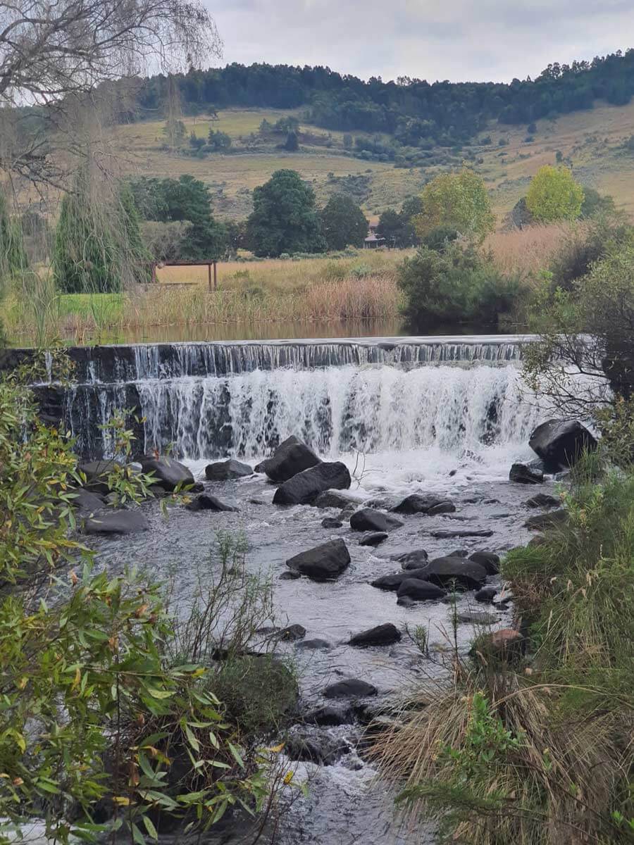 IMG-20200424-WA0085